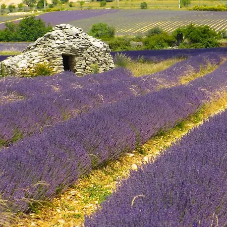 Lejlighed Chateau Des Gipieres Bij De Mont Ventoux *