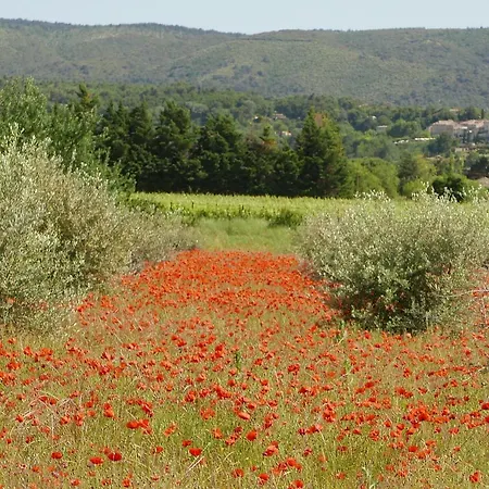 Chateau Des Gipieres Bij De Mont Ventoux شقة